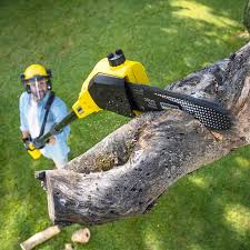 Best Tree and Shrub Care  in Scow Mills, MO